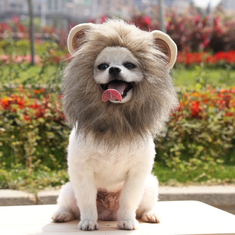 Pet Lion Mane Costume | Brown Hood for Dogs & Cats (S/M/L)