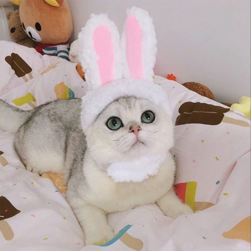 Bunny Ears Pet Hat | Cute Rabbit Costume for Cats & Small Dogs
